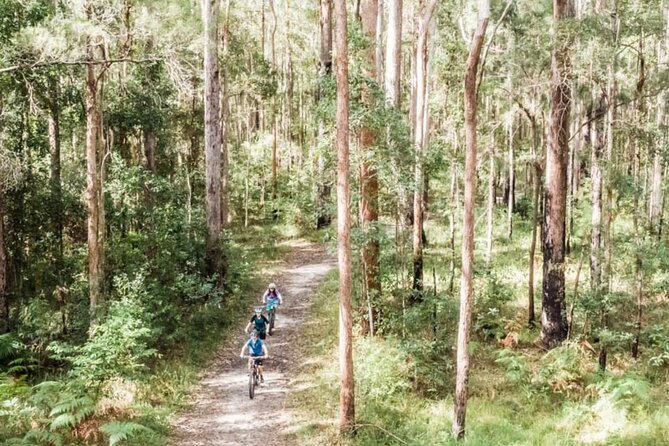 Noosa eMtn Bike Tour: Exploring a National Park on Fun MTB Trails - Key points to know before you book