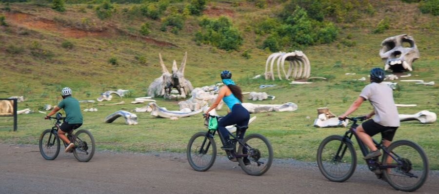 Oahu: Kualoa Electric Bike Tour - Why an E-Bike Makes Kualoa Ranch More Accessible