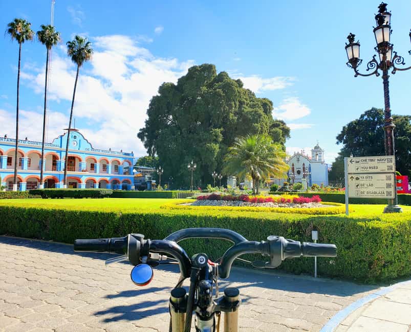 Oaxaca: Guided Bike Tour to the Largest Tree in the World - Who should book this experience