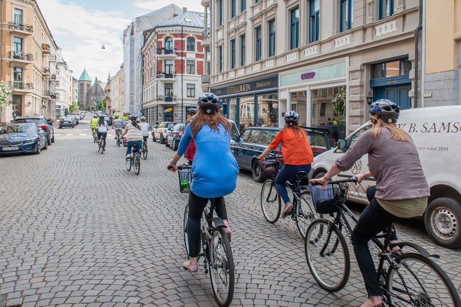 Oslo: 3-Hour Highlights Bike Tour - The guides make a major difference