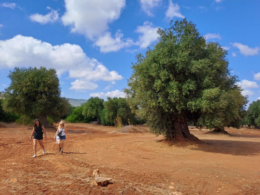 Ostuni: Guided e-bike tour + countryside tasting stop - The 2 km walk to a countryside home