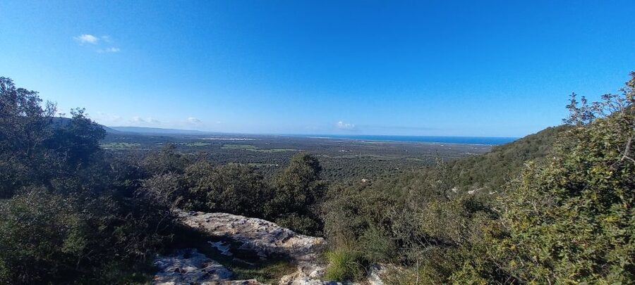 Ostuni: Guided e-bike tour + countryside tasting stop - Who will enjoy this ride most