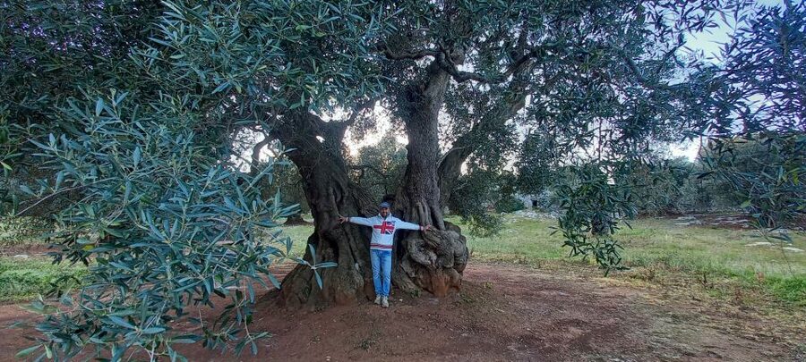 Ostuni: Guided e-bike tour + countryside tasting stop - Languages, timing, and practical planning