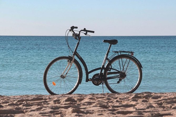 Palma de Mallorca Easy Bike Tour (Small Groups) - Parc de la Mar and the postcard view of La Seu
