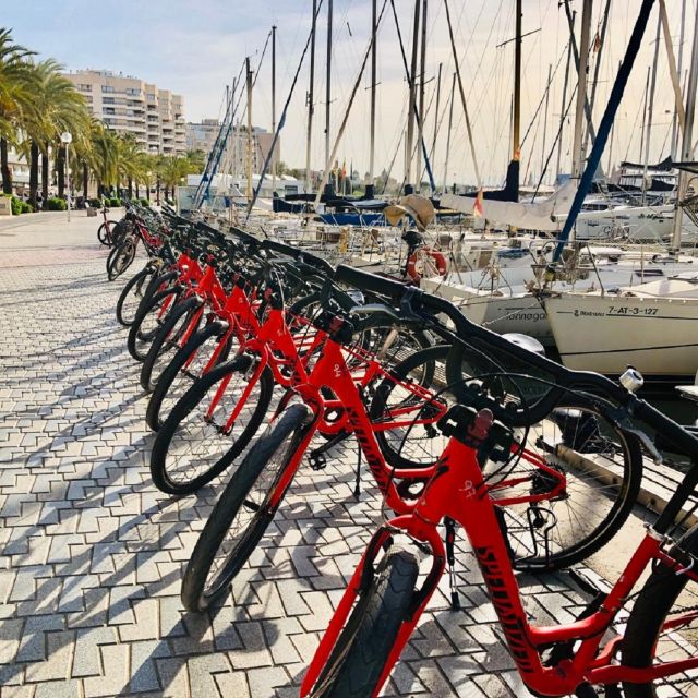 Palma de Mallorca: Guided Bicycle Tour with Tapas & a Drink - Parc de la Mar and the cathedral view