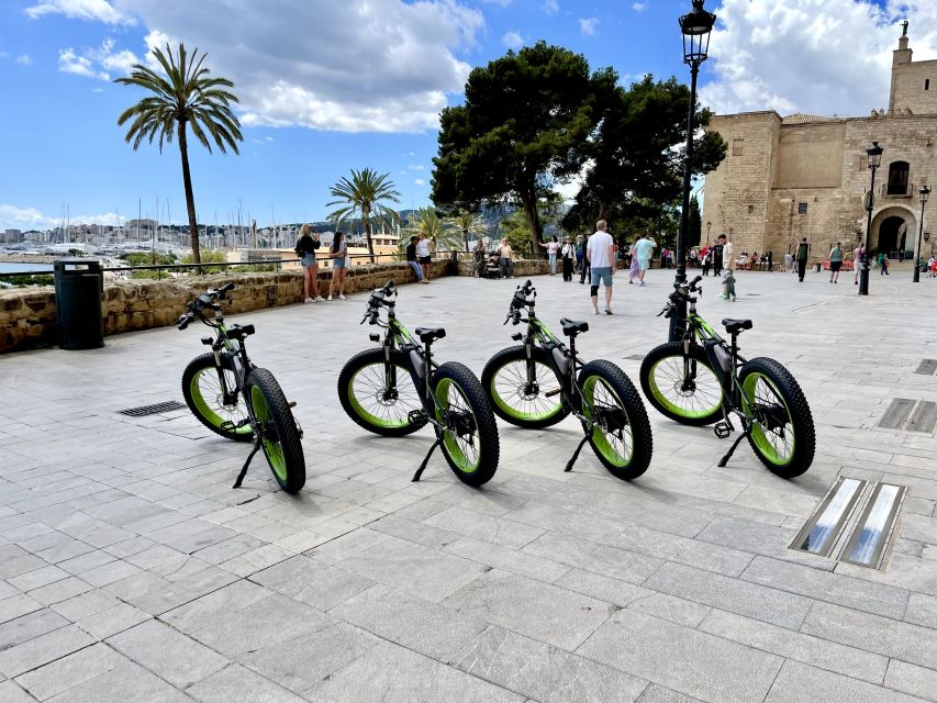 Palma: Guided City Tour with a Fat Tire E-Bike - El Molinar and the final bay views