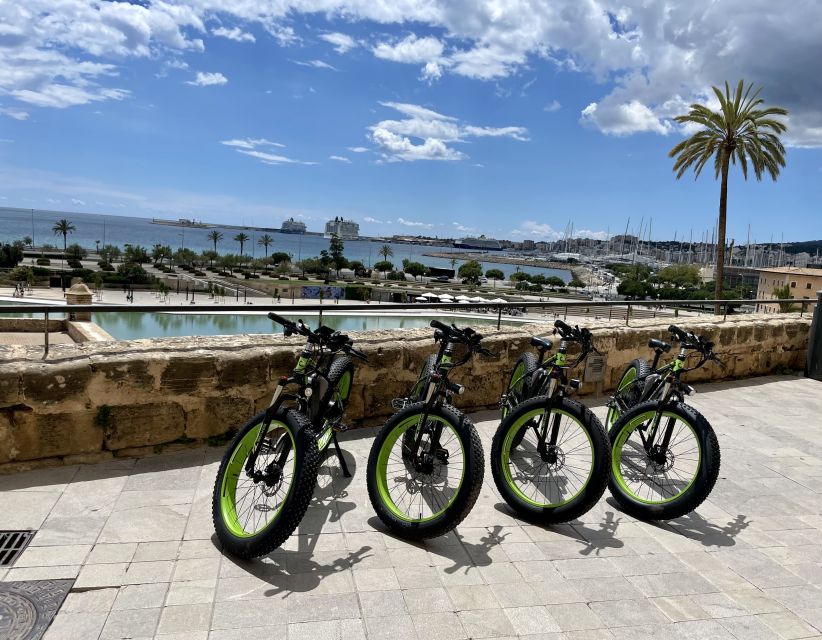 Palma: Guided City Tour with a Fat Tire E-Bike - One hour or two hours?