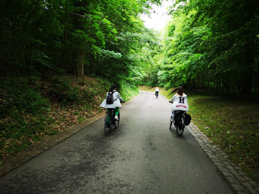 Paris: Versailles Palace and Queen Hamlet E-Bike Tour - The Trianon estate and Marie-Antoinette’s village