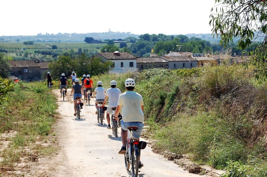Penedès/BCN: Self-Guided eBike Tour with guided Winery Visit - Returning through the vineyards