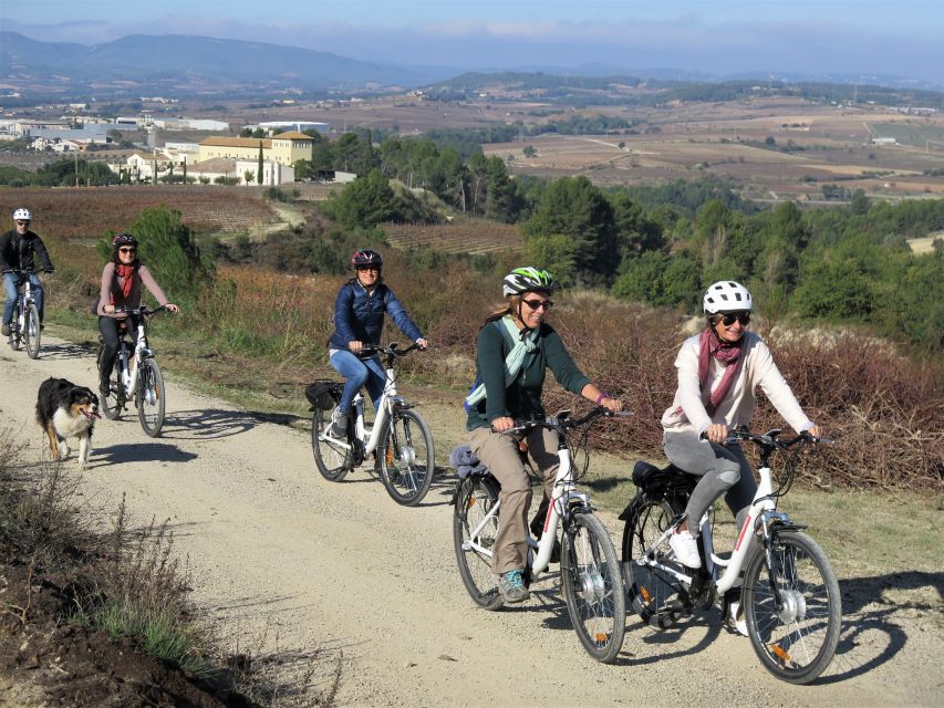 Penedès/BCN: Self-Guided eBike Tour with guided Winery Visit - Who will enjoy this half-day outing