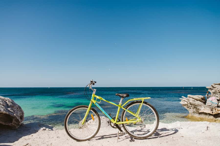 Perth: Rottnest Island Ferry, Bike, Coffee & Lobster Roll - The Lane Café and the Rottnest Cray Dog