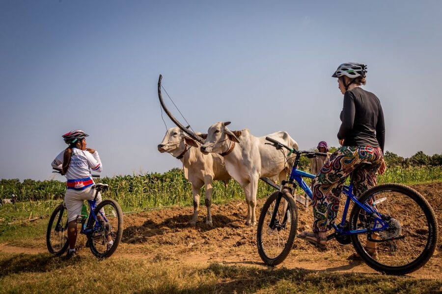 Phnom Penh: Mekong Islands & Silk Islands Guided Bike Tour - Is $65 a Fair Price?