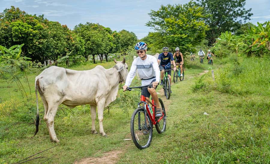 Phnom Penh: Mekong Islands Sunset Bike Tour include drinks - Should you book the Mekong Islands Sunset Bike Tour?