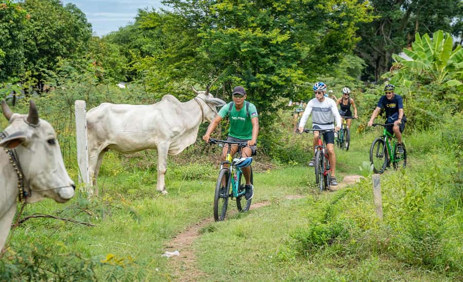 Phnom Penh: Silk Islands Half-Day Bike Tour - What the guides add to the day