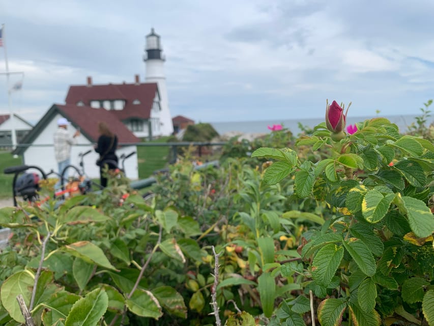 Portland, Maine: Coastal Lighthouses Guided Bicycle Tour - The Bite into Maine lunch stop