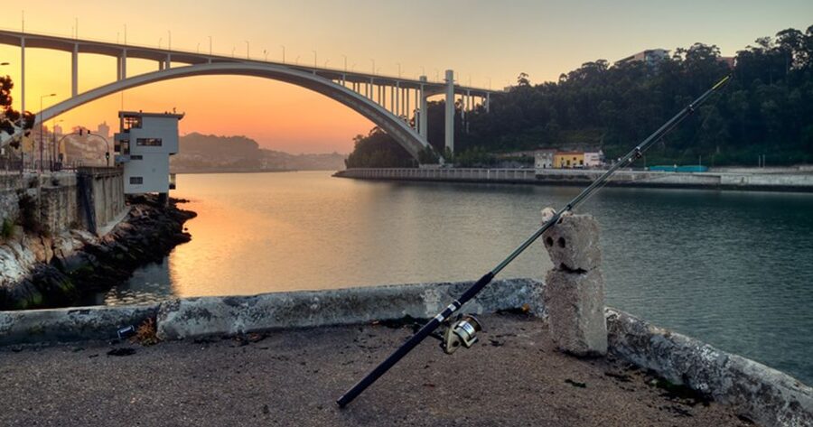 Porto: 3-Hour Bike Tour - Price, timing, and what you actually receive
