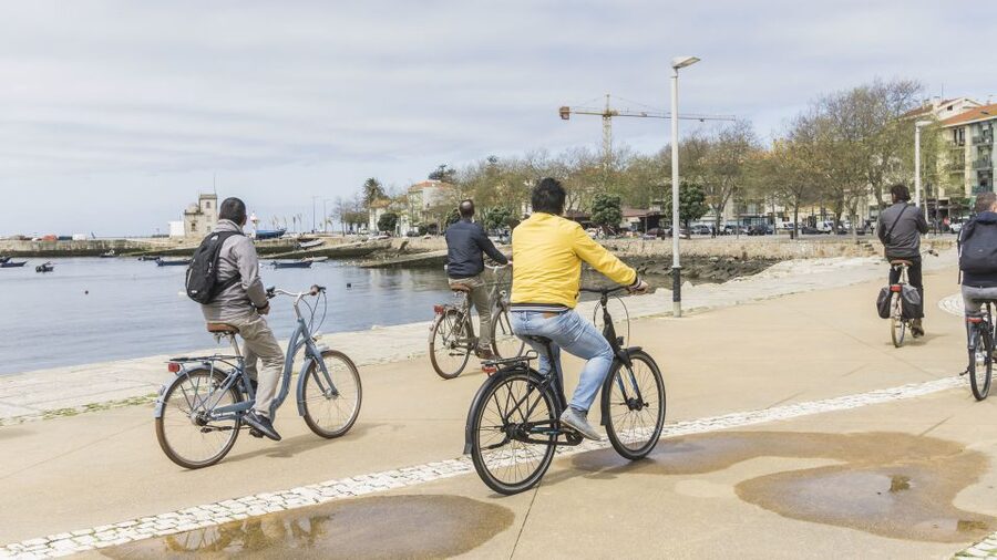 Porto: 3-Hour Bike Tour - Birdlife and the Douro Estuary