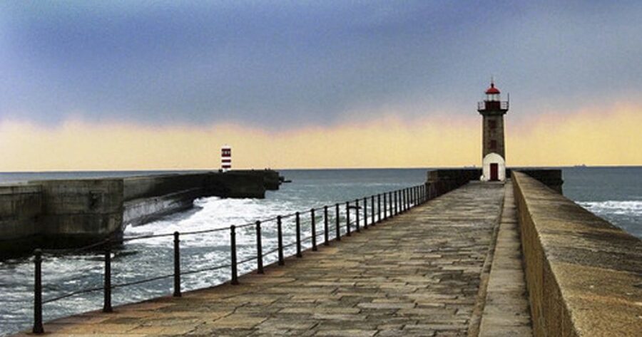 Porto: 3-Hour Bike Tour - Guides who add value beyond navigation