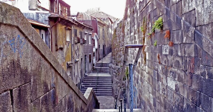 Porto: Private Bike Tour with a Local Guide - Who will get the most from this $57 tour?