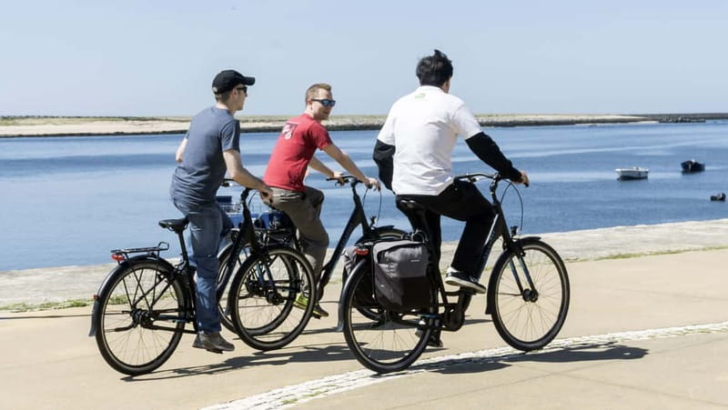 Porto Private E-Bike Tour: Douro River, Parks & Beaches - Lighthouses, sea air and Foz beaches