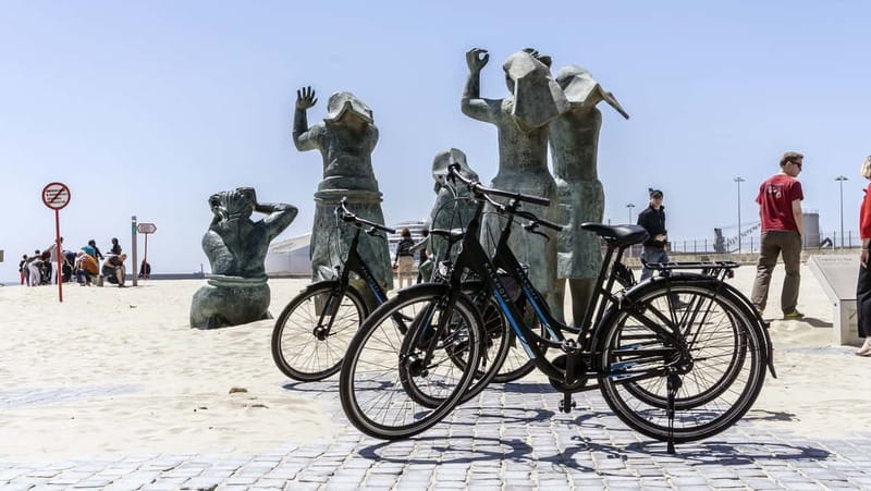 Porto Private E-Bike Tour: Douro River, Parks & Beaches - The guide makes the route personal