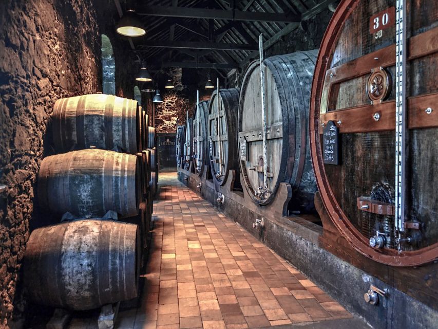 Porto: Self-Guided Bike and Boat Tour with Port Wine Tasting - Port wine in Gaia, with two tastings