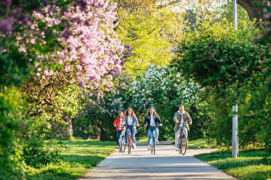 Prague: Complete Bike Tour - Mala Strana and Kampa Park