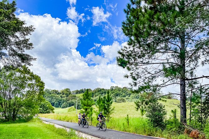 Premium E Bike Hire at the Northern Rivers Rail Trail - Key points before you book