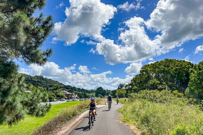Premium E Bike Hire at the Northern Rivers Rail Trail - Tweed Regional Gallery and Margaret Olley Art Centre
