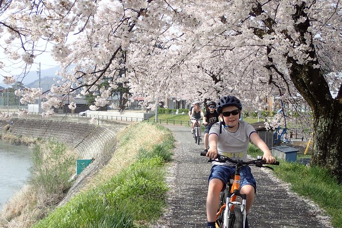 Private Afternoon Cycling Tour in Hida-Furukawa - What is included, and what is not