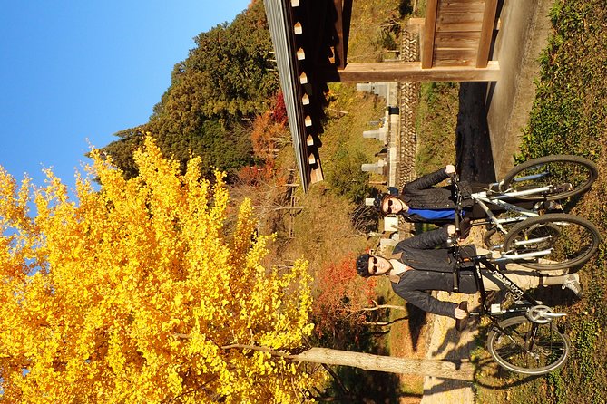 Private-group Morning Cycling Tour in Hida-Furukawa - Rice fields, old houses, and local produce