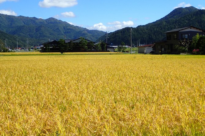 Private-group Morning Cycling Tour in Hida-Furukawa - Is $214.48 per person good value?