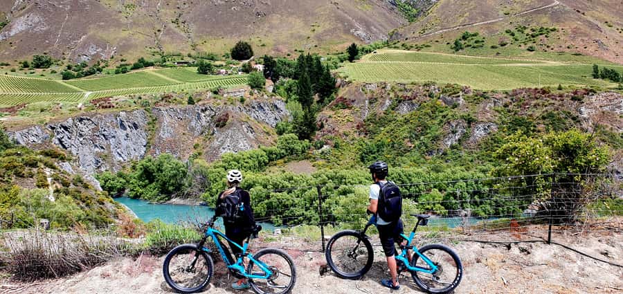 Queenstown: Guided E-Bike Tour with Winery Visits & Tastings - What makes this Queenstown bike tour worth your time
