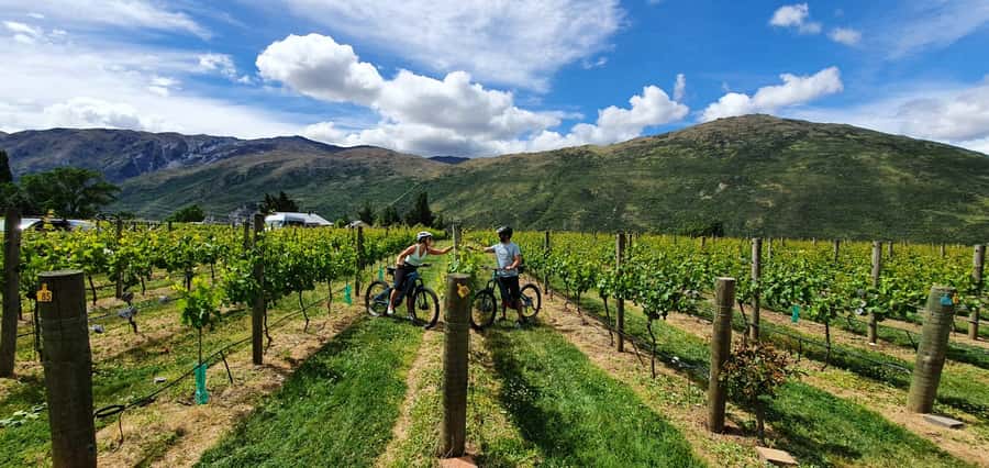 Queenstown: Guided E-Bike Tour with Winery Visits & Tastings - A pause at historic Kawarau Bridge