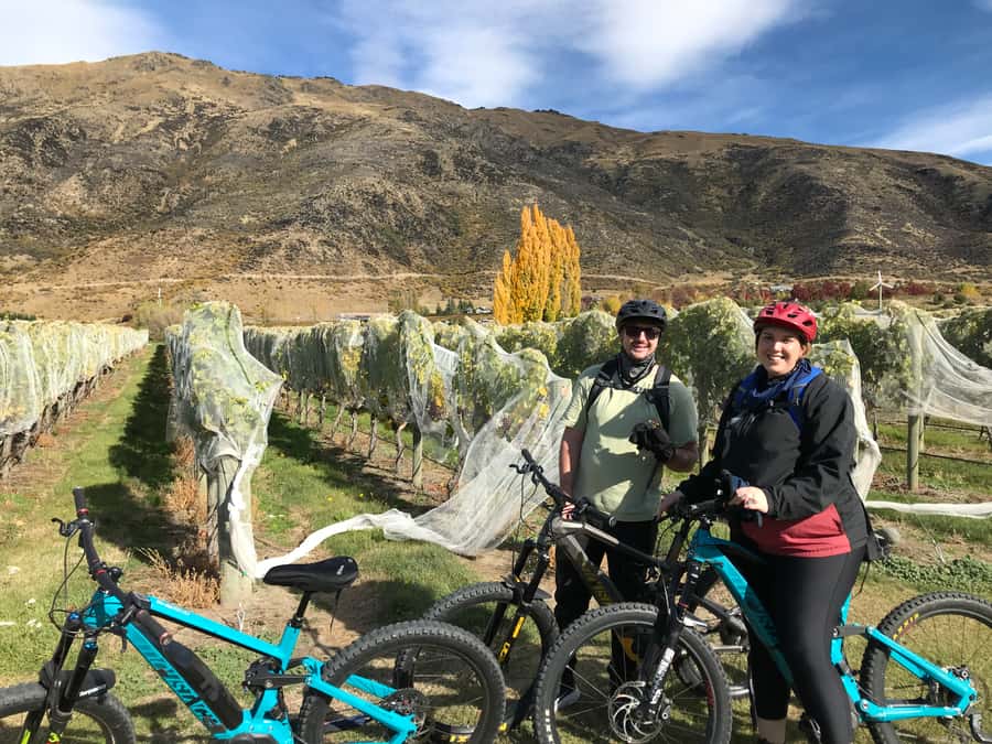 Queenstown: Guided E-Bike Tour with Winery Visits & Tastings - Entering Gibbston’s rows of vines