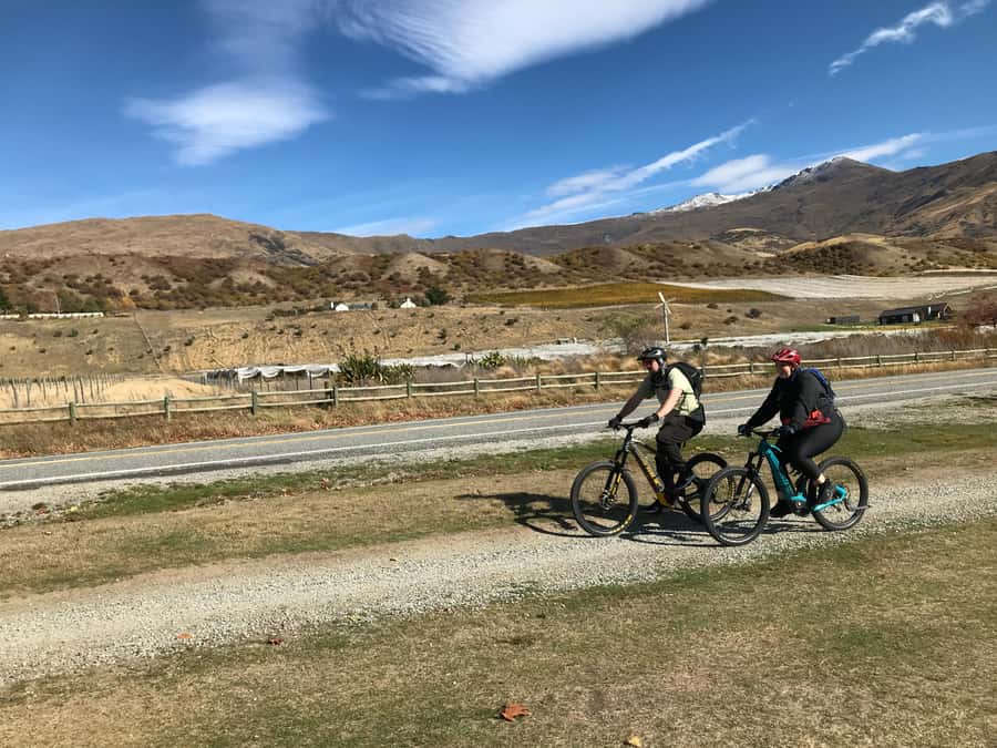Queenstown: Guided E-Bike Tour with Winery Visits & Tastings - Why the $194 price can make sense
