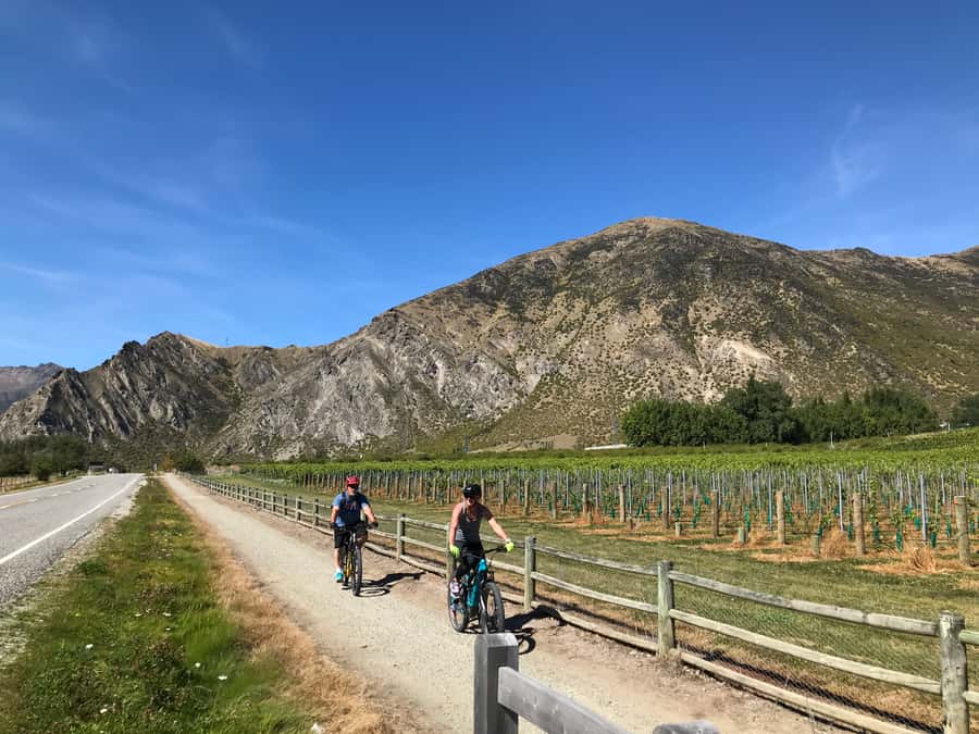 Queenstown: Guided E-Bike Tour with Winery Visits & Tastings - Should you book the Ride to the Vines tour?