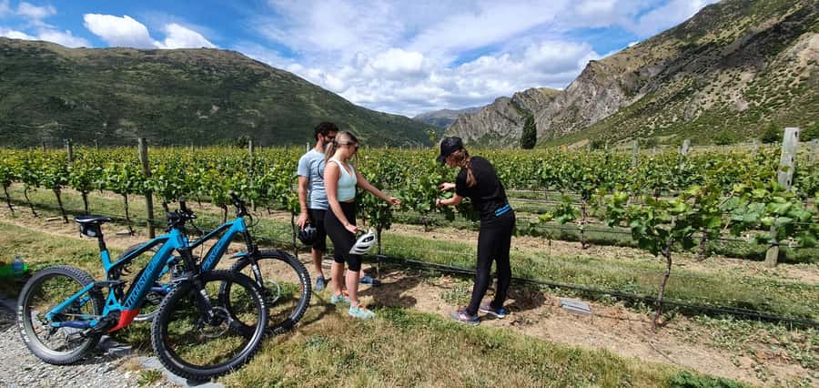 Queenstown: Guided E-Bike Tour with Winery Visits & Tastings - Arrowtown and the first stretch beside the river