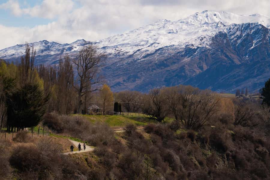 Queenstown: Self-Guided Bike Ride on the Arrow Bridges Trail - Why this Arrowtown to Gibbston ride works so well