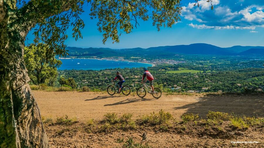 Ramatuelle: Tracks & Tasting Winery Tour by Mountain E-Bike - Key points to know before booking