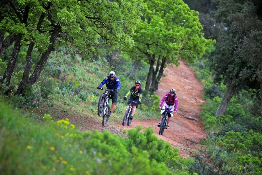 Ramatuelle: Tracks & Tasting Winery Tour by Mountain E-Bike - From Kon Tiki to the Route des Plages
