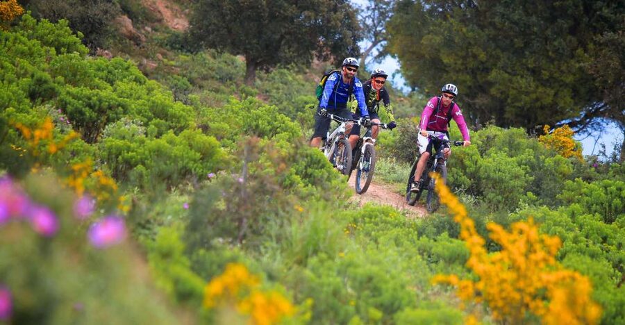 Ramatuelle: Tracks & Tasting Winery Tour by Mountain E-Bike - Saint-Tropez and the one-hour sightseeing stop