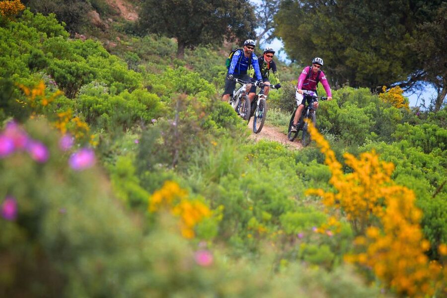 Ramatuelle: Tracks & Tasting Winery Tour by Mountain E-Bike - Should you book the Ramatuelle e-bike wine tour?