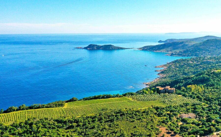 Ramatuelle: Tracks & Tasting Winery Tour by Mountain E-Bike - Riding the coastal and forest tracks