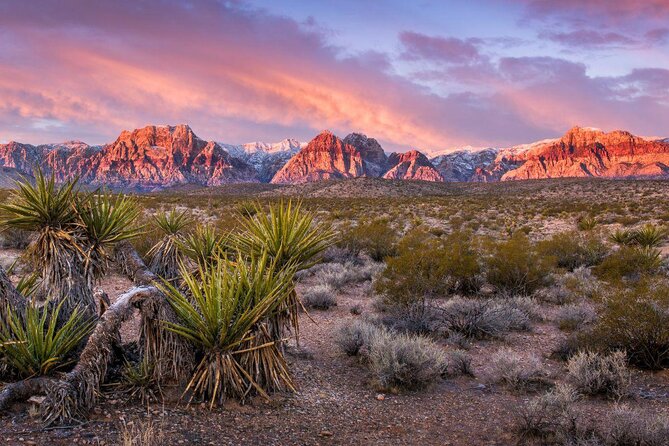 Red Rock Canyon eBike Half-Day Tour - Key points to know before you book