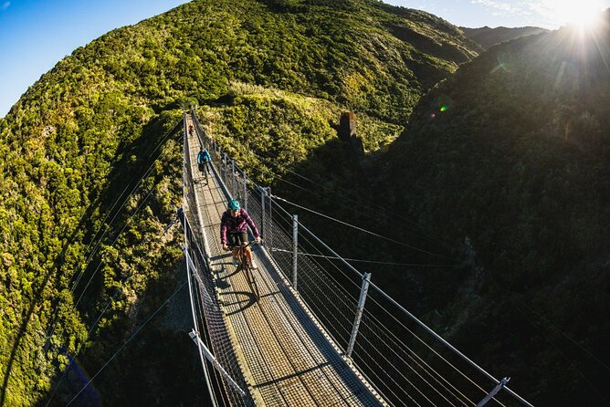 Remutaka Rail Trail Mountain Bike Explorer Cycle Tour - Key points to know before booking