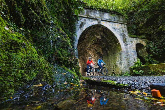 Remutaka Rail Trail Mountain Bike Explorer Cycle Tour - Riding through Pakuratahi Forest