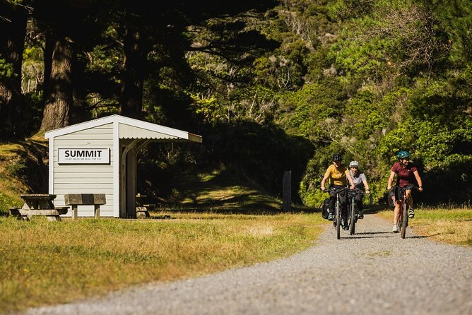 Remutaka Rail Trail Mountain Bike Explorer Cycle Tour - Descending toward Cross Creek