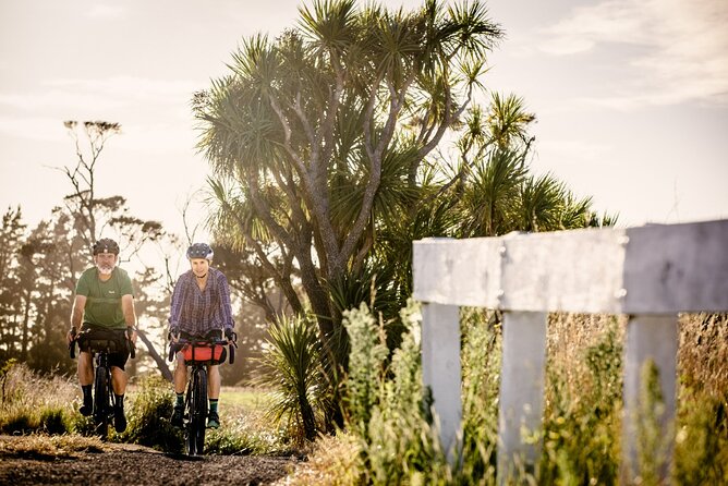 Remutaka Rail Trail Mountain Bike Explorer Cycle Tour - Weather, clothing, and physical effort