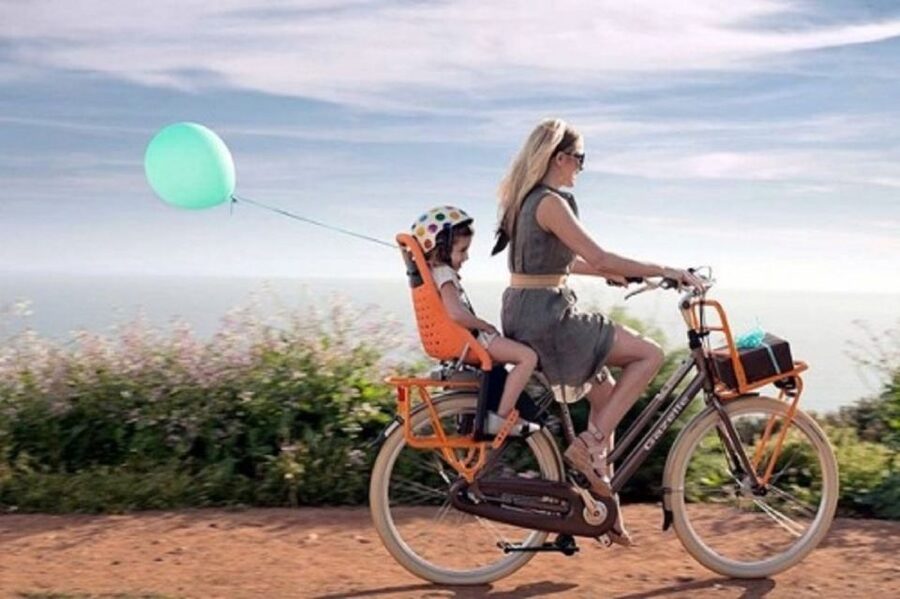 Rent a City Bike 18 gears from 4 hours to 7 days: Maspalomas - The Oasis lagoon and its birdlife